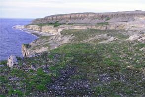 Burnt Cape Ecological Reserve